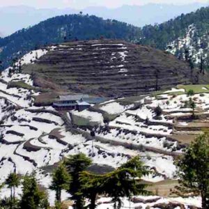 kufri-shimla-tourism-entry-fee-timings-holidays-reviews-header (1)