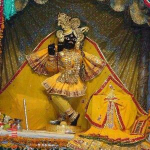 shri-banke-bihari-ji-darsan-vrindavan-11 (1)